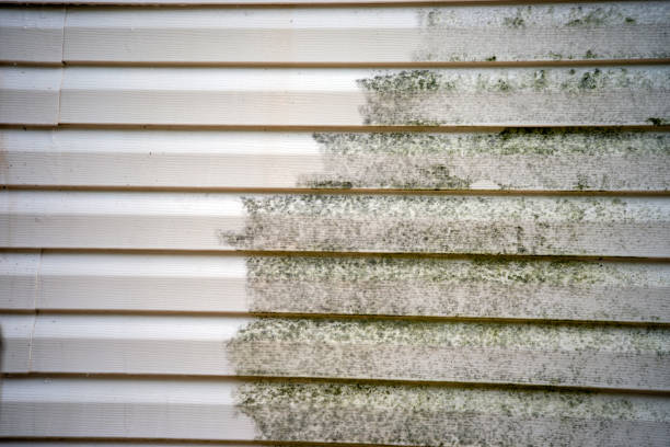 Timber Pines, FL Junk Removal Company